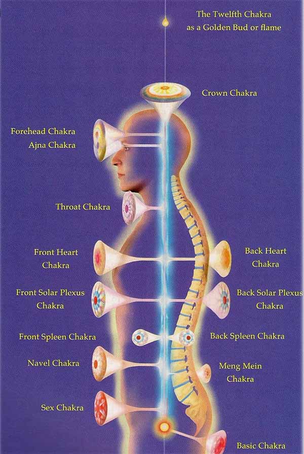 De wetenschap over Chakra’s; een literatuurstudie.