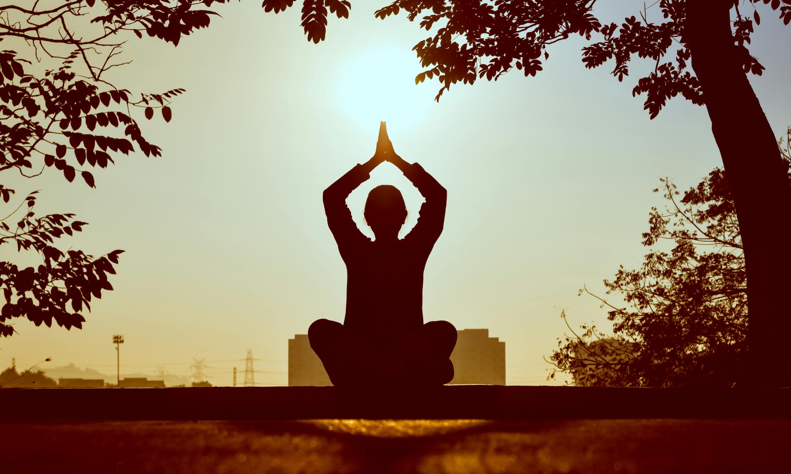 Langdurige stress en burn-out; 1 maand gratis meditaties via House of Deeprelax & oefeningen om weer terug in je kracht te komen (en blijven)